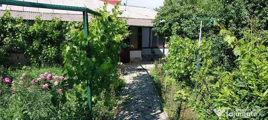 Casă cu 2 camere cu Teren 1650 Mp în Prelungirea Ghencea
