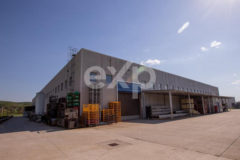 Spațiu industrial, de 5,100 mp, în Mioveni