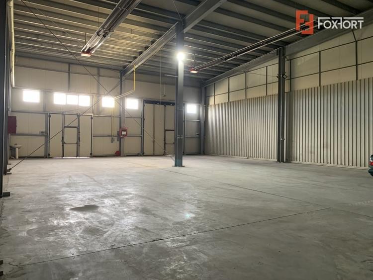 Spațiu industrial, de 377 mp, în Șagului