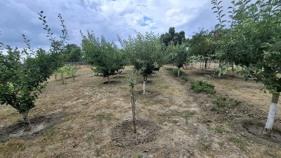 Casă cu 2 camere în Olăneasca