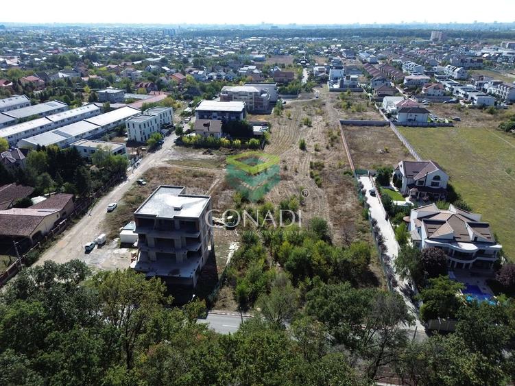 Teren - Voluntari - vis a vis de Padure - 10.000 mp - 2