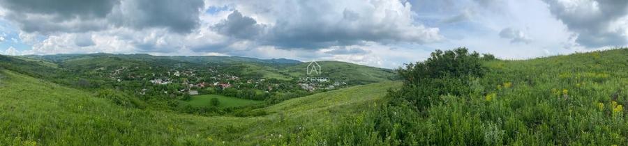 Teren Construcții intravilan de 15900 mp, în Fințești