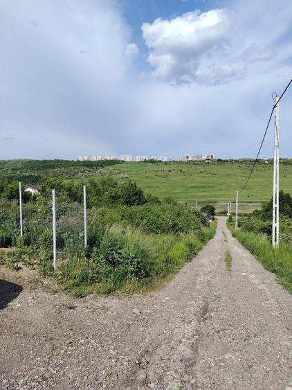 420 mp intravilan Rediu - Iasi - 4