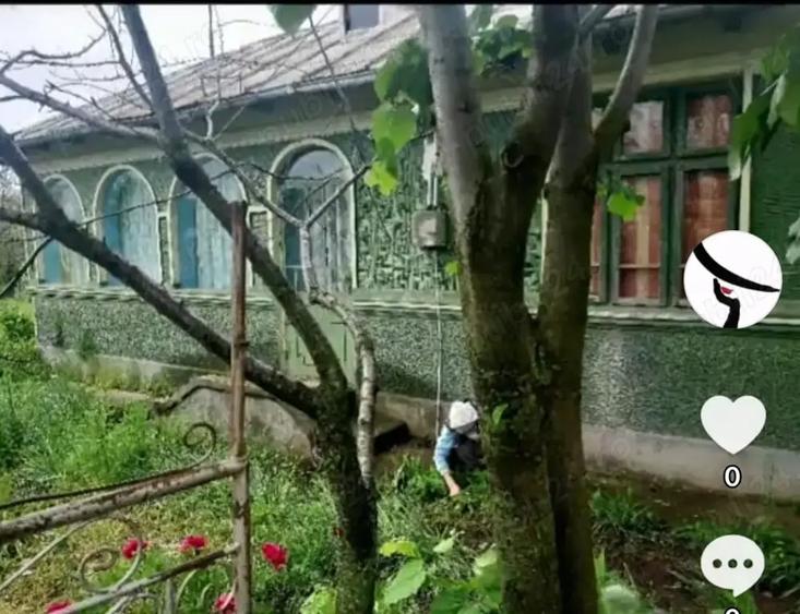Casă cu 6 camere cu Teren 3365 Mp în Constantin Brâncoveanu