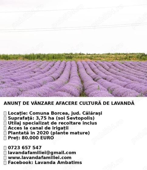Teren de 37500 mp, în Borcea