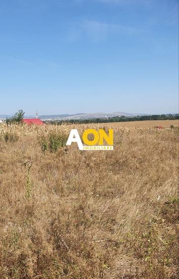 Teren agricol extravilan de 7737 mp, în Sud