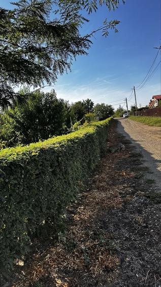 Spațiu comercial, în Tămădău Mare