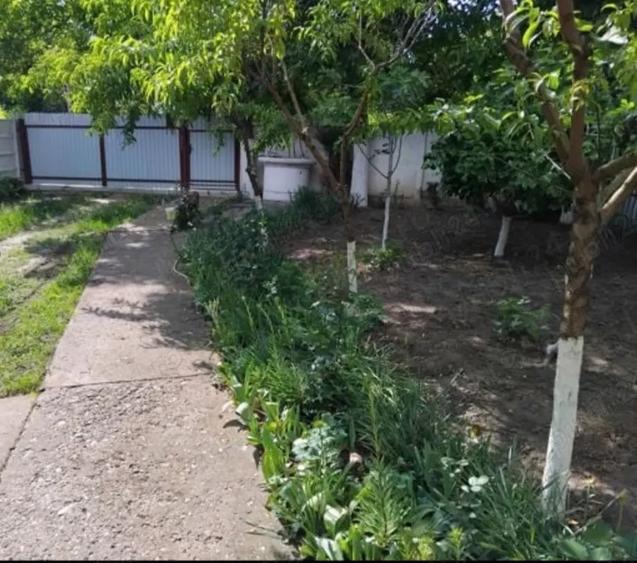 Casă cu 4 camere cu Teren 10000 Mp în Munteni