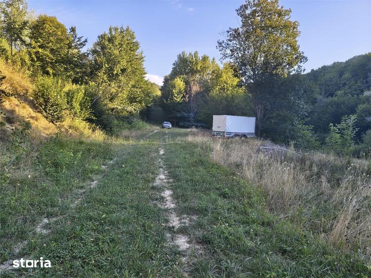 Teren intravilan de vanzare in padure Cisnadioara - 4