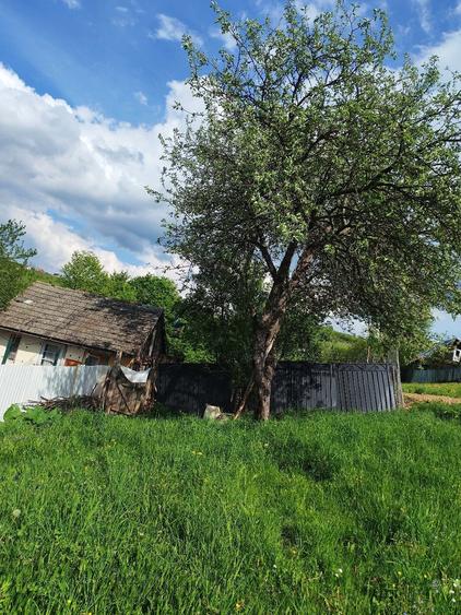 Casa la munte cu teren - 10