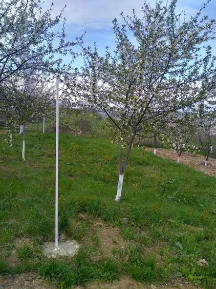 Teren de 700 mp, în Vlădiceni
