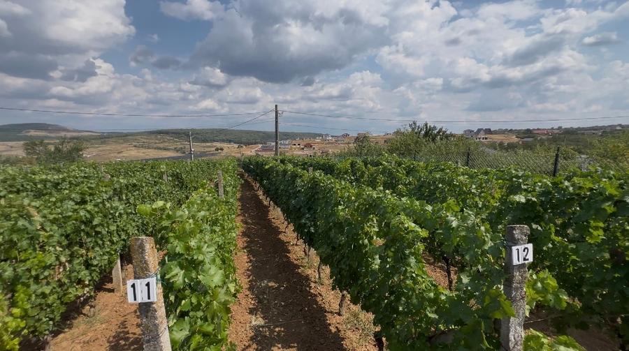 Casă individuală cu 7 camere cu Canalizare în Băile Felix