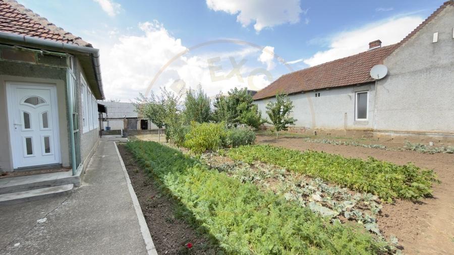 Casă 4 camere, Teren 1005 mp Loc. Căpleni Nr.786 -Jud. Satu Mare - 18