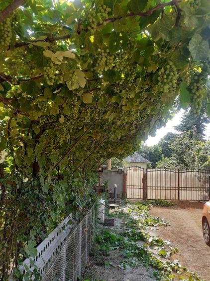 Casă cu 3 camere în Valea