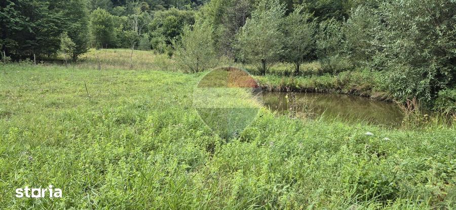 Teren de 2800 mp, în Tarcău