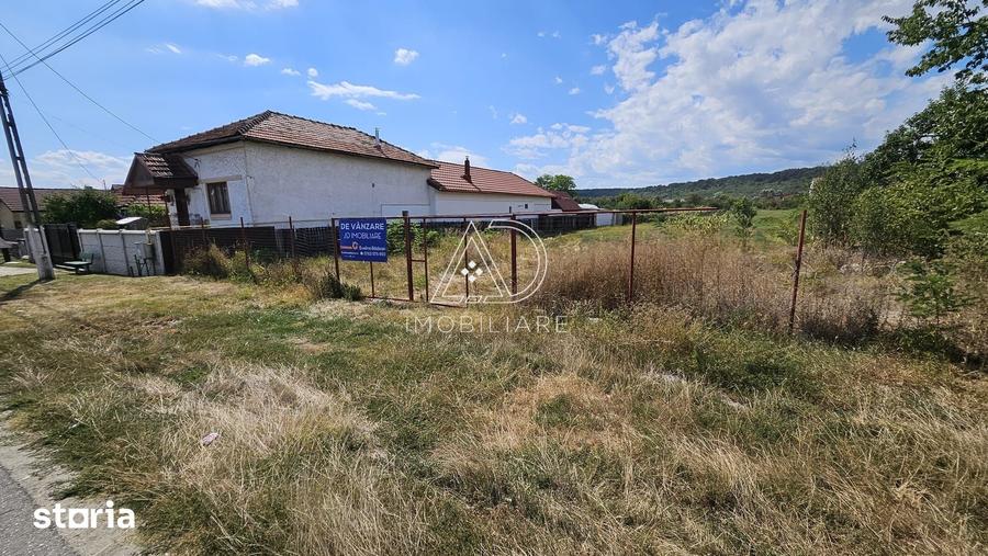 Teren de 3863 mp, în Turcinești