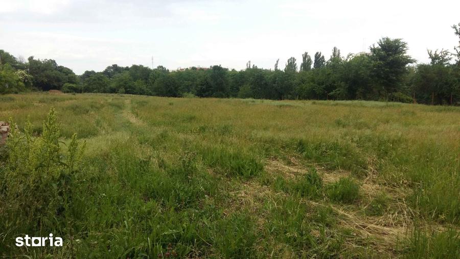 Teren de 6000 mp, în Dămăroaia