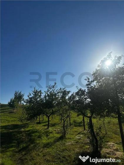 Reco Casa cu teren in Budureasa, langa Stana de Vale - 11