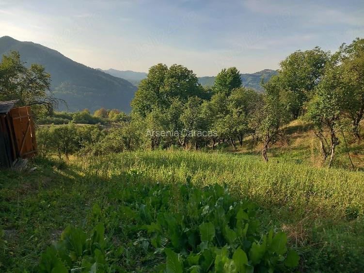 Casă cu 4 camere cu Teren 20500 Mp în Paltin