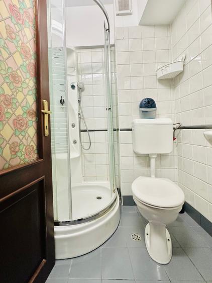 Apartament spațios în zona Aviatorilor - 10