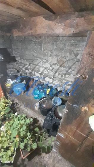 Casă cu 4 camere în Petrindu
