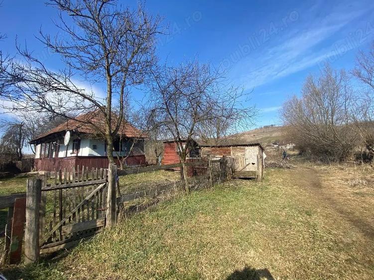 Teren de 5400 mp, în Cămărașu