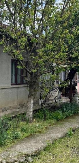 Casă cu 4 camere cu Teren 1622 Mp în Frumușani