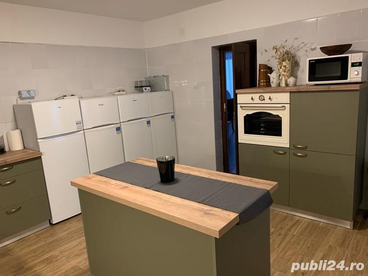 Spațiu comercial, de 450 mp, în Sasca Montană