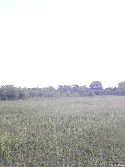 Teren de 2557 mp, în Iazu