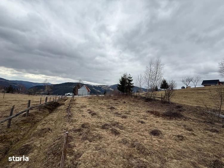 Teren de 1700 mp, în Albac