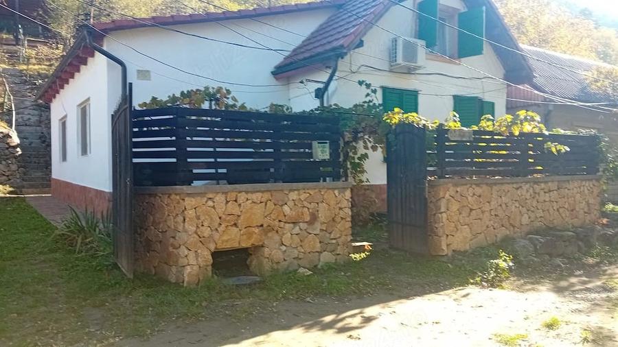 Casă cu Teren 700 Mp în Sasca Montană