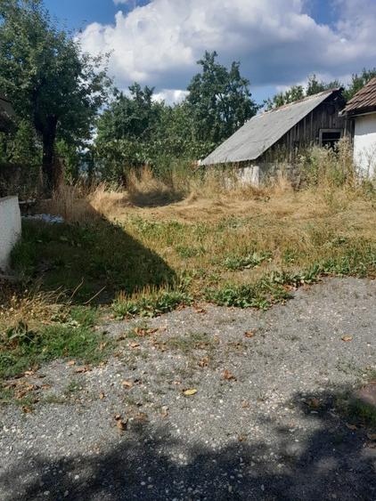 Zona Castel Transilvania, casa 16 ari teren - 2