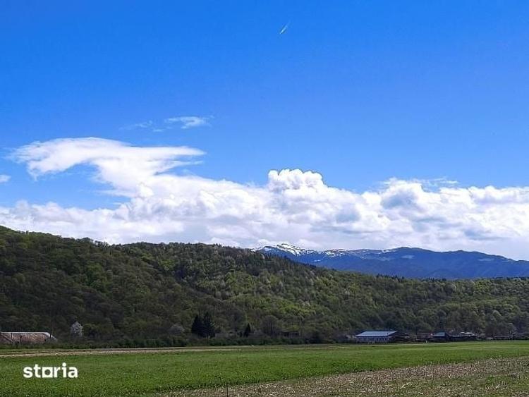 Teren de 784 mp, în Central