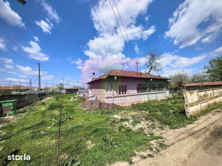 Teren de 975 mp, în Cernica