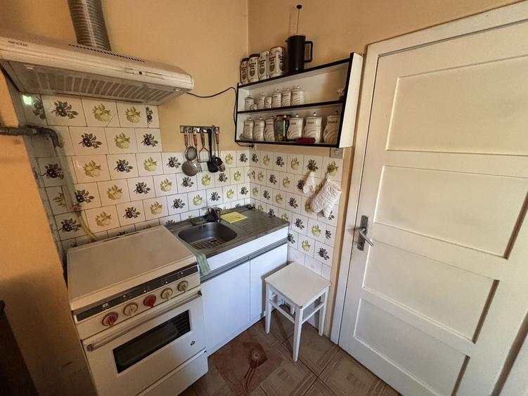 Casă individuală de vânzare în Turnișor | Curte superbă 585 mp - 28