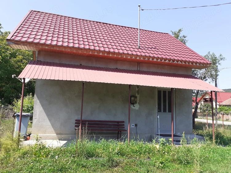 Casă cu Teren 8000 Mp în Dăbâca