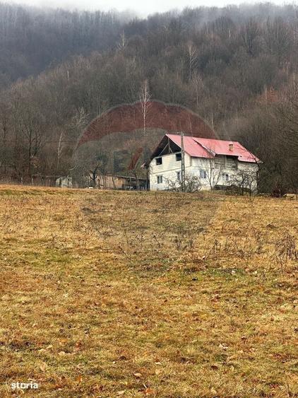 Spațiu comercial, în Negreni