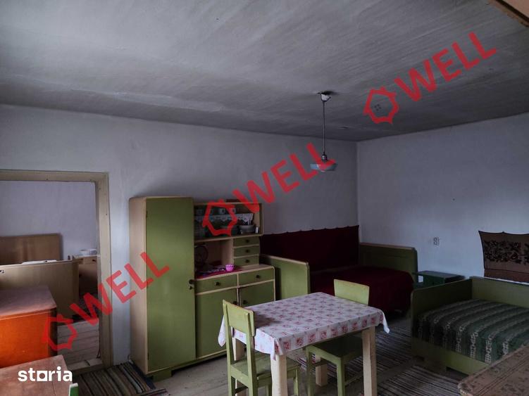 Proprietate cu 2 case de vanzare in Tama?falau! - 12