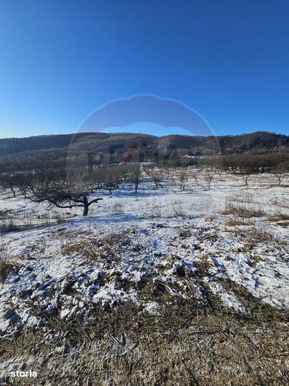 Teren 5,054mp intravilan - Strada Dealul Malului / Ramnicu Valcea - 2