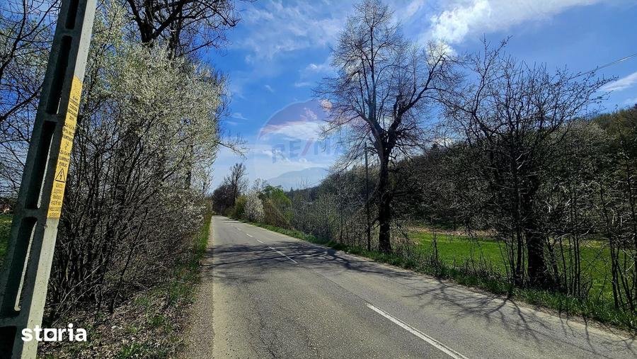 Teren de 10000 mp, în Vânători-Neamț