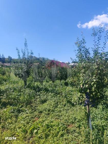 Casă cu 1 camere cu Teren 3000 Mp în Horodnic