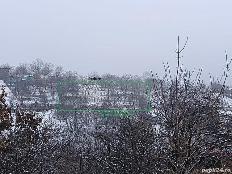 Teren de 2500 mp, în Dealu Cucului