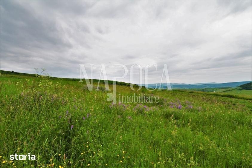 Teren de 8150 mp, în Baciu