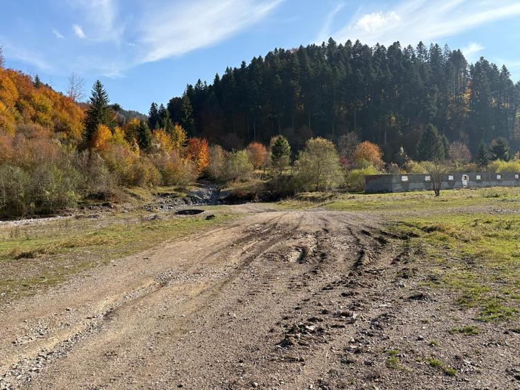 Teren Construcții intravilan de 10000 mp, în Săcele