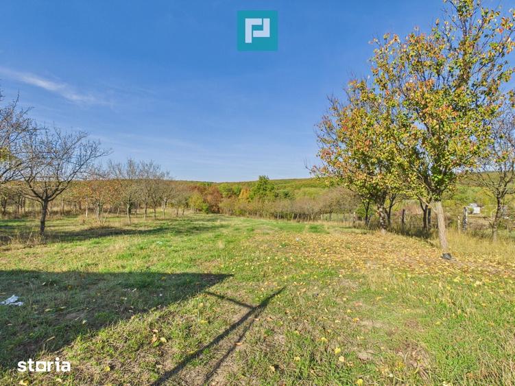 Casă cu 6 camere cu Teren 2610 Mp în Hidiș