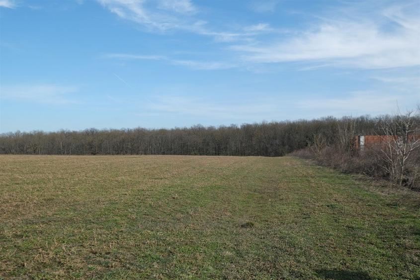 Teren Construcții intravilan de 1075 mp, în Găneasa