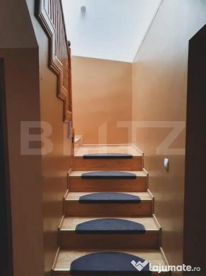 Casă cu 5 camere cu Teren 5000 Mp în Central