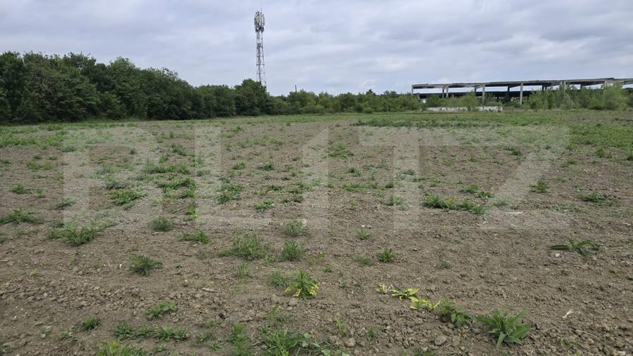 Teren Construcții extravilan de 5000 mp, în Lucian Blaga
