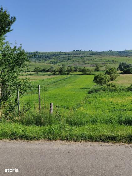 Teren de 4700 mp, în Merghindeal