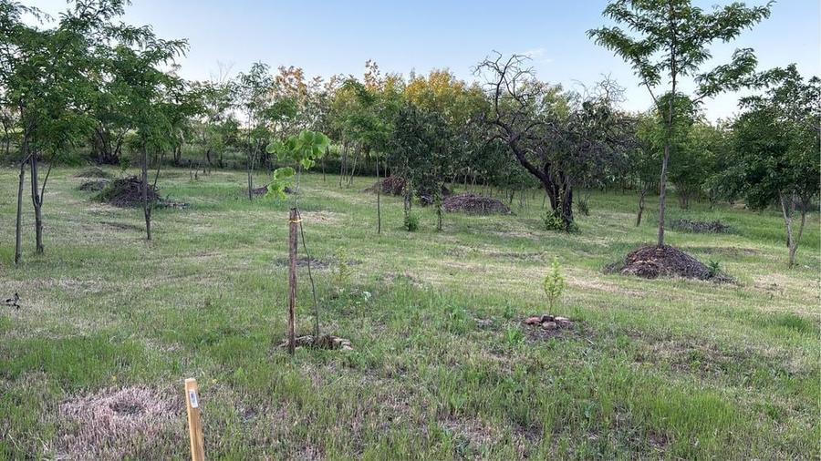 Teren de 19500 mp, în Valea Călugărească